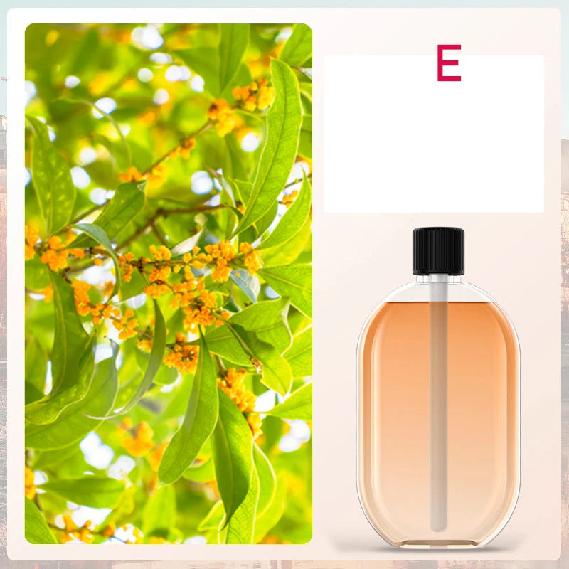 USB Essential Oil Diffuser - Relaxing Ambiance